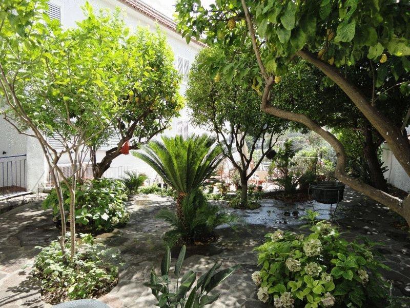 Hotel Candia Casamicciola Terme ภายนอก รูปภาพ